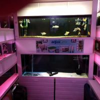 Clearwater Aquatics ico