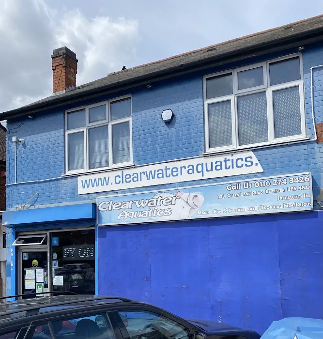 Clearwater Aquatics Picture 6