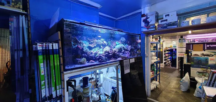 Clearwater Aquatics Picture 5