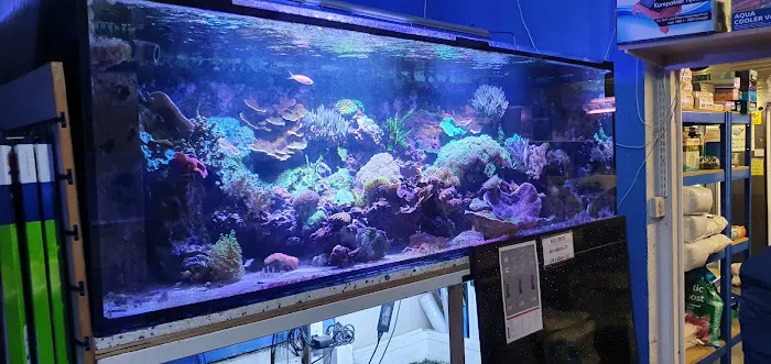 Clearwater Aquatics Picture 9