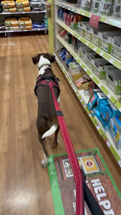 Pets at Home Leicester Picture 2