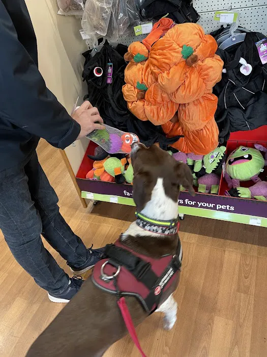 Pets at Home Leicester Picture 4