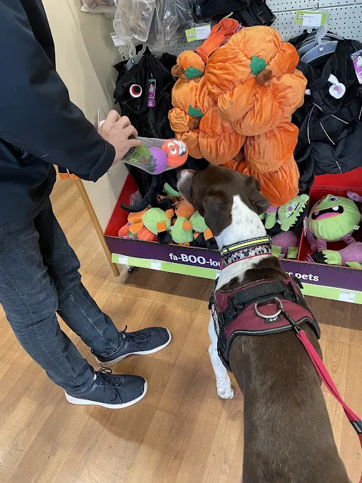 Pets at Home Leicester Picture 8