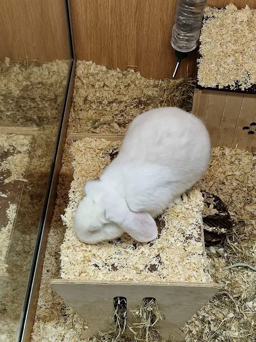 Pets at Home Leicester Beaumont Picture 5