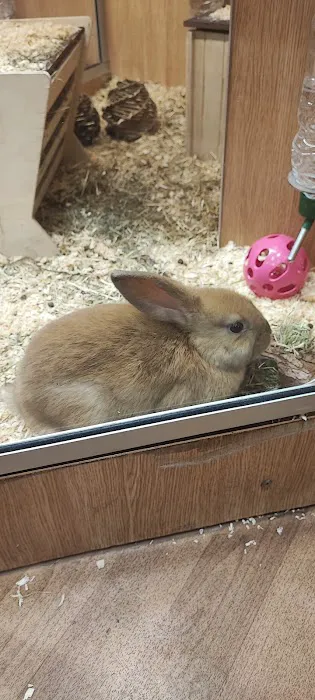 Pets at Home Leicester Beaumont Picture 3