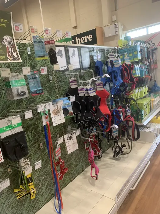 Pets at Home Leicester Beaumont Picture 9