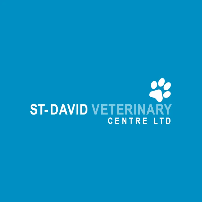 St. David Veterinary Centre, Llanishen Picture 5