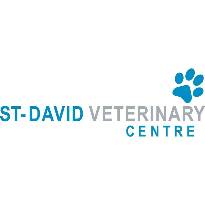 St. David Veterinary Centre, Llanishen Picture 8