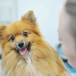 Heath Veterinary Group