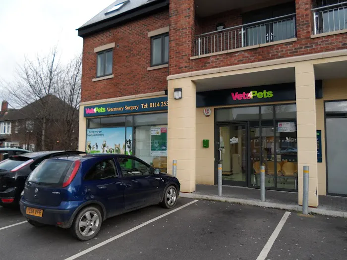 Sheffield (Birley Moor) Vets4Pets Picture 6