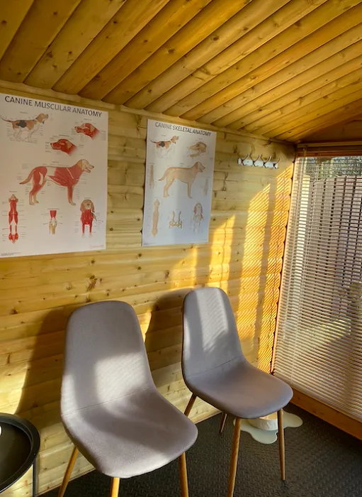 Canine Physio Hut - Hannah Smith Veterinary Physiotherapy Picture 3