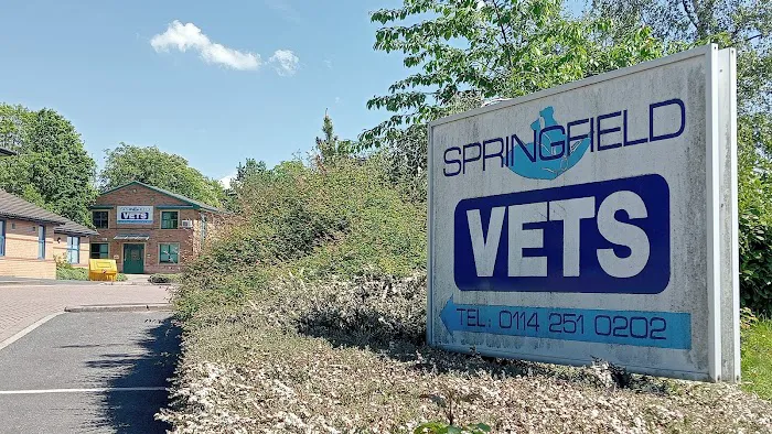 Springfield Veterinary Group - Hackenthorpe Picture 6