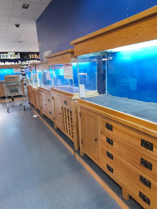 Maidenhead Aquatics Chesterfield Picture 2