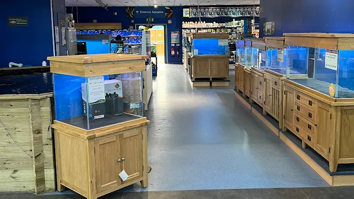 Maidenhead Aquatics Chesterfield Picture 3