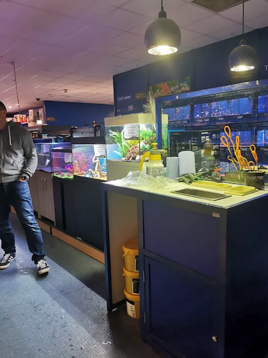 Maidenhead Aquatics Chesterfield Picture 8