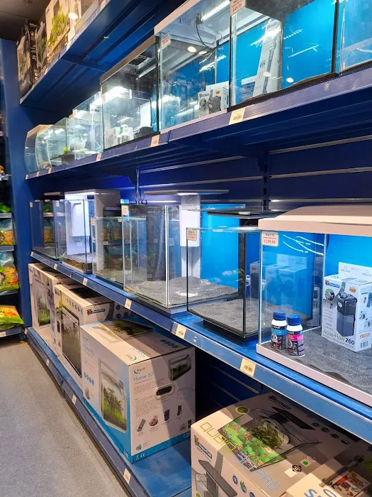 Maidenhead Aquatics Chesterfield Picture 9