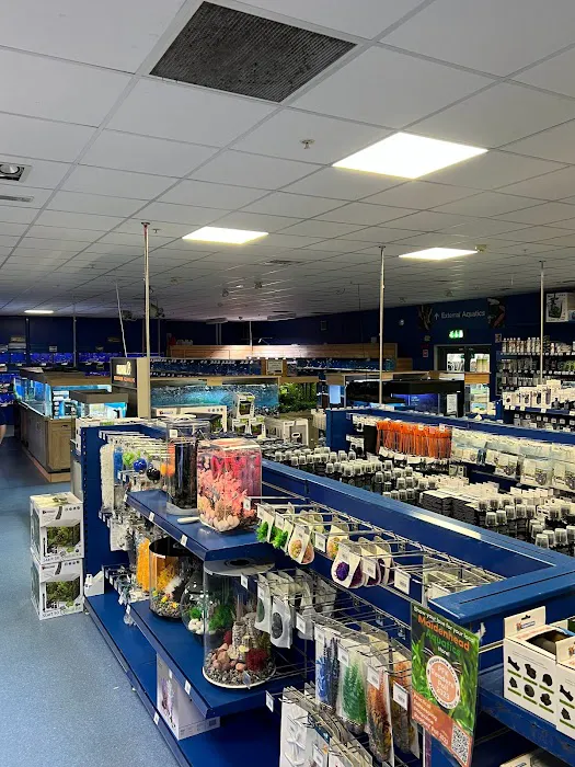 Maidenhead Aquatics Chesterfield Picture 7