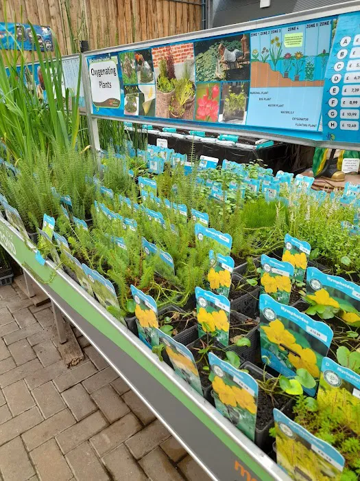 Maidenhead Aquatics Chesterfield Picture 10