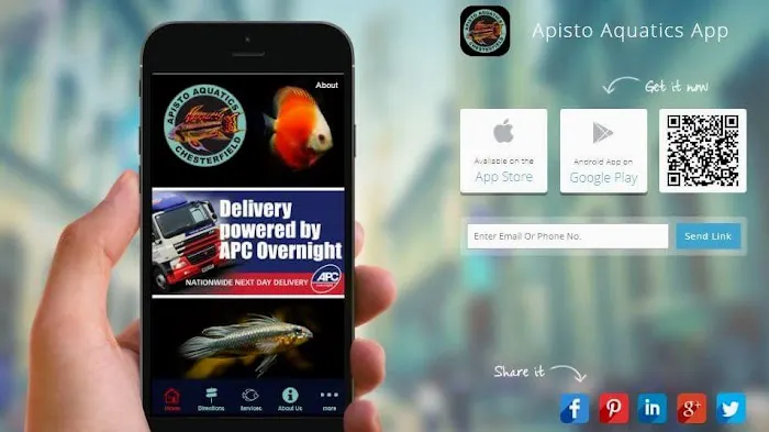 Apisto Aquatics Picture 2