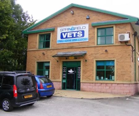 Springfield Veterinary Surgery - Crystal Peaks