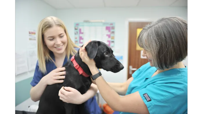 Abbeymoor Veterinary Centres Picture 3