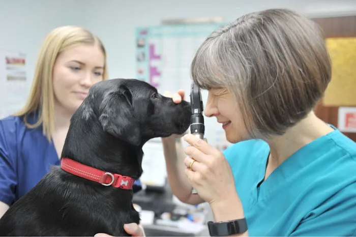 Abbeymoor Veterinary Centres Picture 10