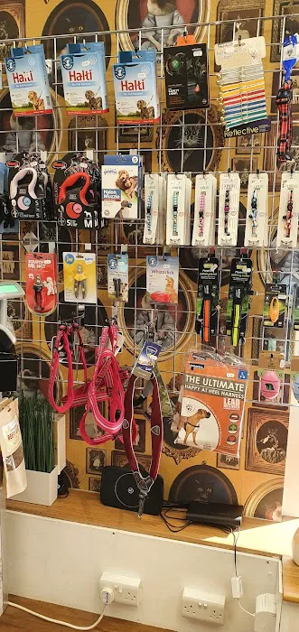 Bella’s Pantry Picture 6