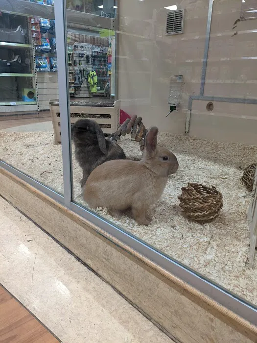 Pets at Home Leicester Fosse Park Picture 3