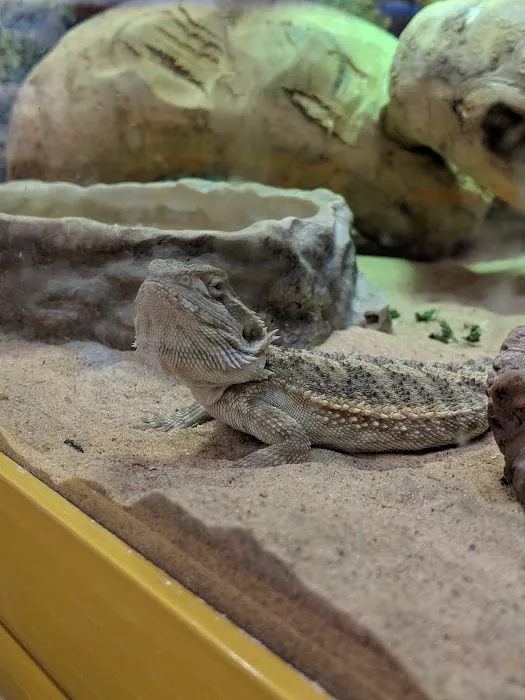 Pets at Home Leicester Fosse Park Picture 10