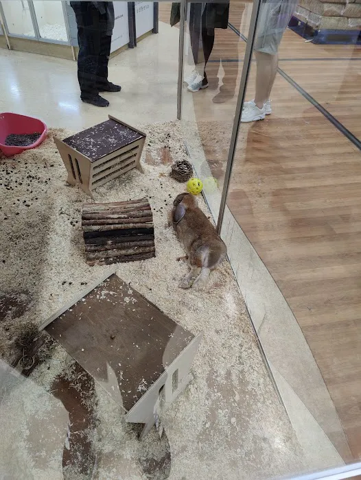 Pets at Home Leicester Fosse Park Picture 7