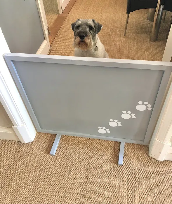 Doggie Divider Picture 2