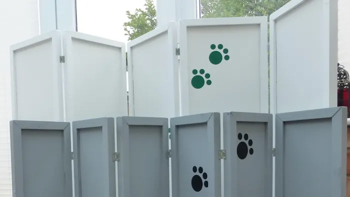 Doggie Divider Picture 4