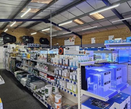 Maidenhead Aquatics Leicester