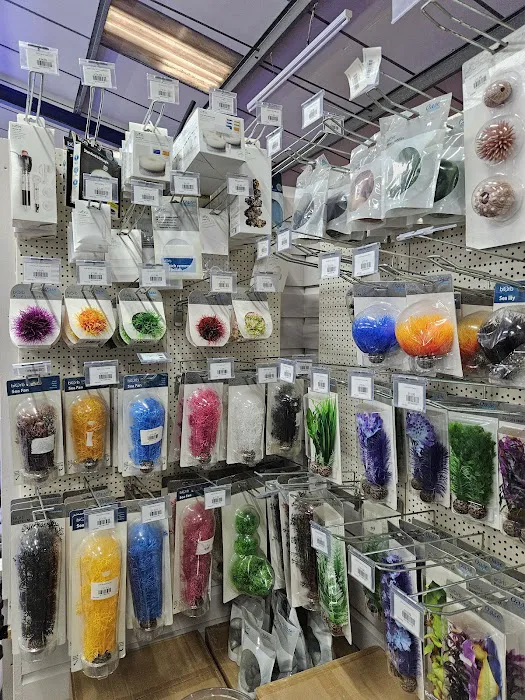 Maidenhead Aquatics Leicester Picture 5