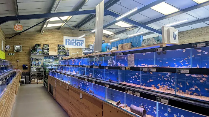 Maidenhead Aquatics Leicester Picture 8