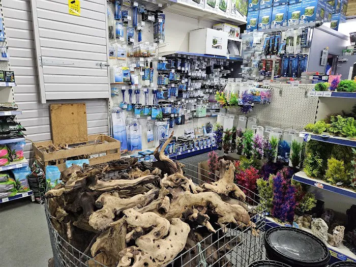 Maidenhead Aquatics Leicester Picture 9