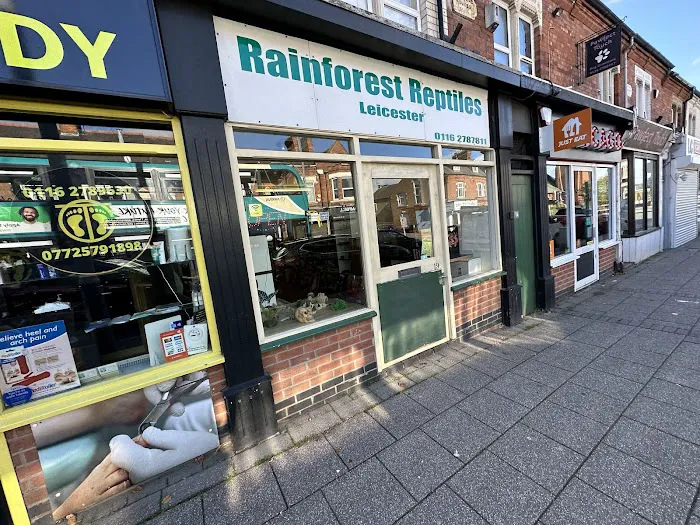 The Rain Forest Reptiles Picture 3