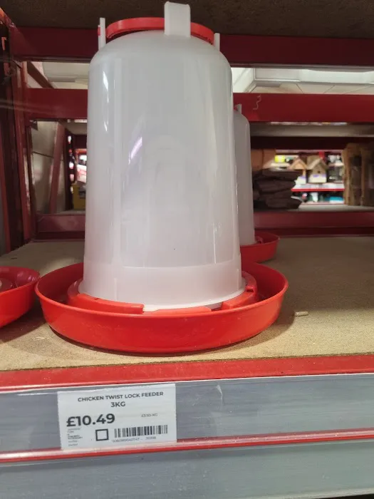 Jollyes - The Pet People Ballymena Picture 5