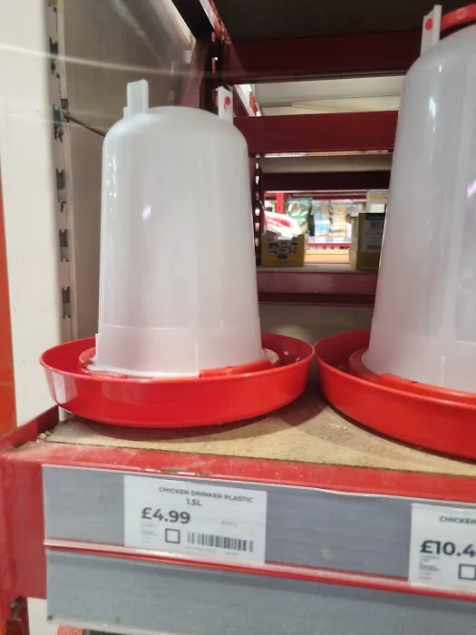 Jollyes - The Pet People Ballymena Picture 4