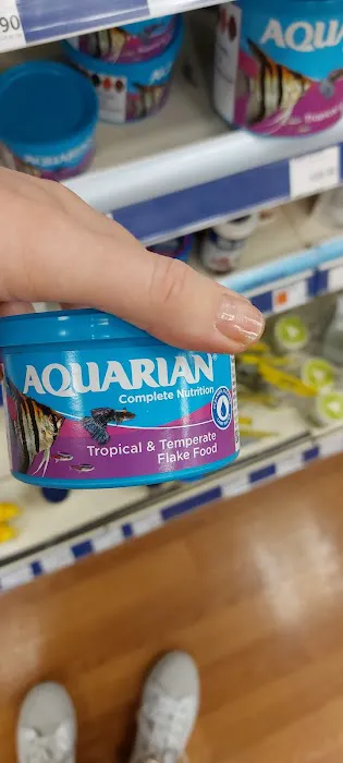 Pets at Home Ballymena Picture 1