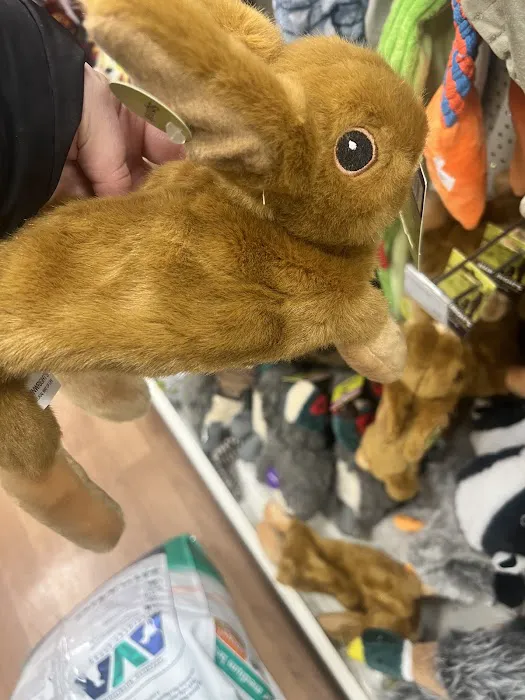 Pets at Home Ballymena Picture 5