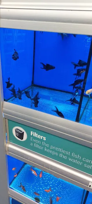 Pets at Home Ballymena Picture 6