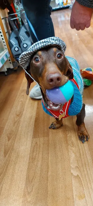 Pets at Home Ballymena Picture 8