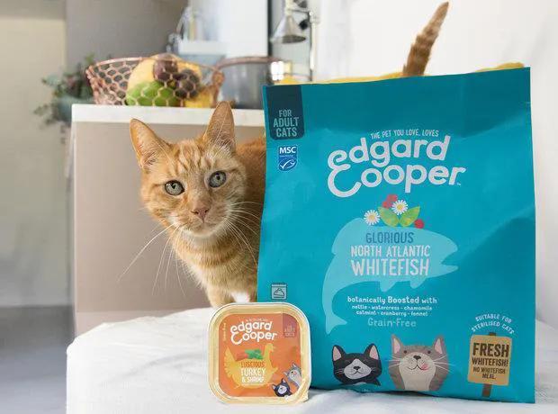 Furbies Raw Store Ballymena Picture 4