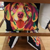 Furbies Raw Store Ballymena ico