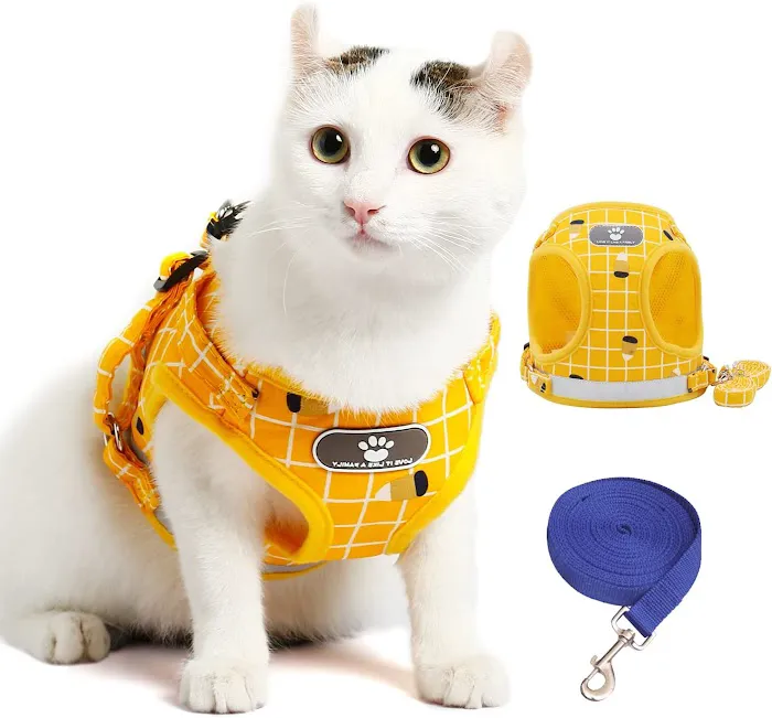 Furbies Raw Store Ballymena Picture 7