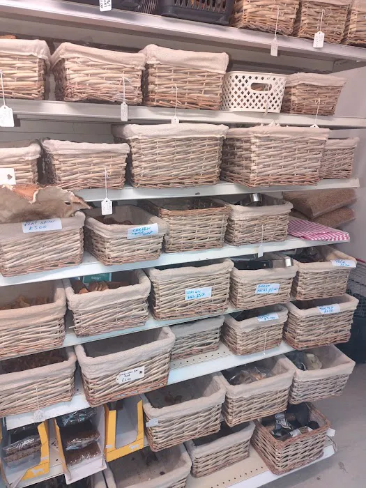 Furbies Pet Supplies Picture 6