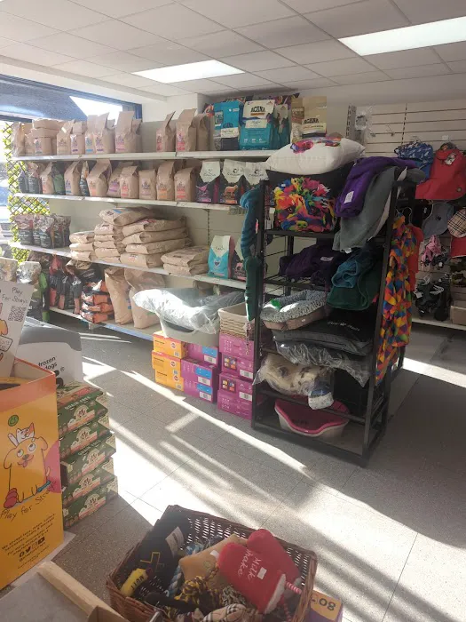 Furbies Pet Supplies Picture 7