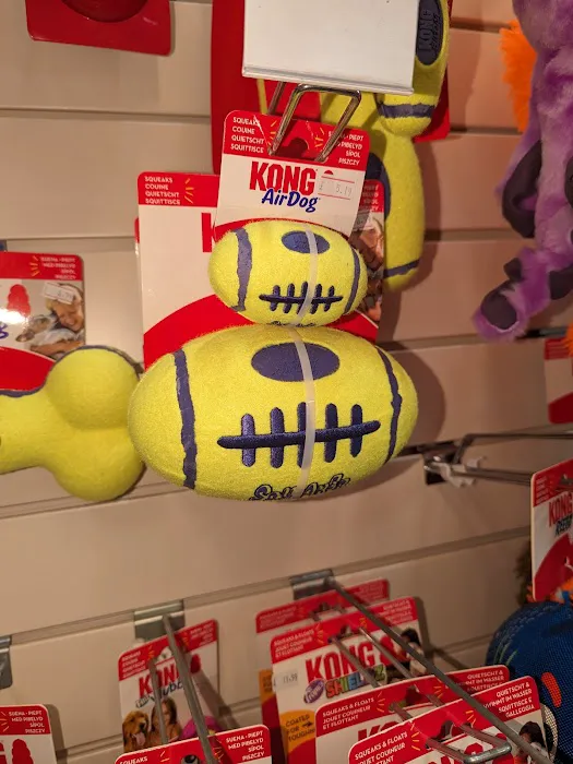 Furbies Pet Supplies Picture 9