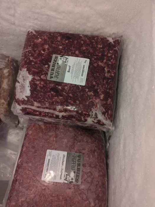 Furbies Pet Supplies Picture 10